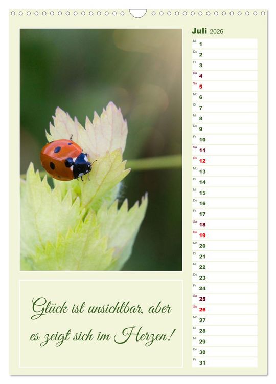 Produktbild: Marienk&auml;fer, Gl&uuml;cksbringer mit sieben Punkten (Wandkalender 2026 DIN A3 hoch), CALVENDO Monatskalender