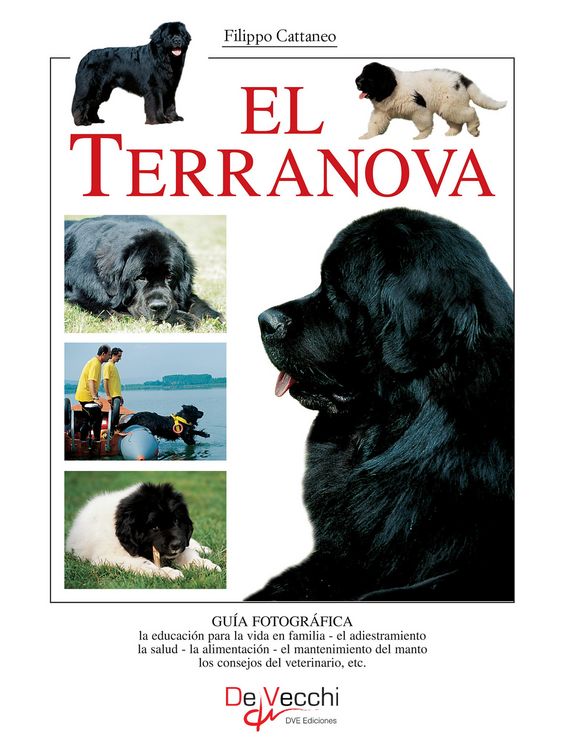 Produktbild: El terranova