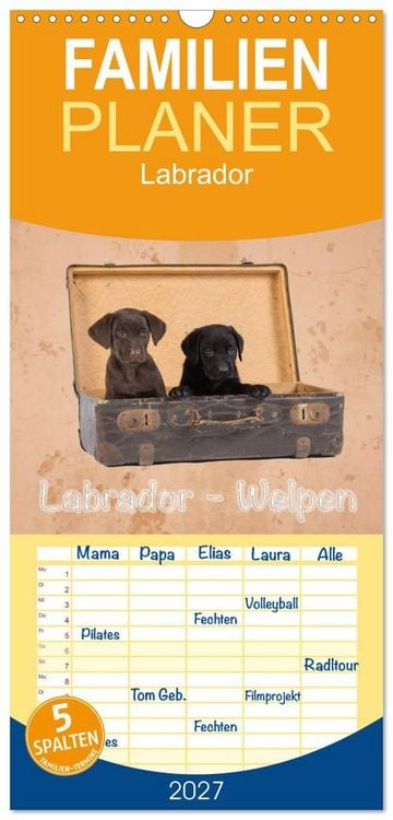 Produktbild: Familienplaner 2027 - Labrador - Welpen mit 5 Spalten (Wandkalender, 21 x 45 cm) CALVENDO