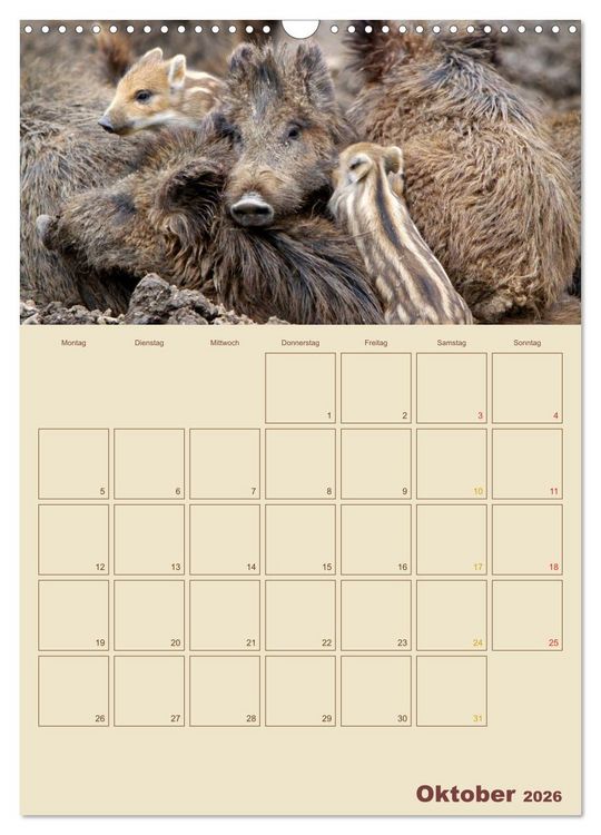 Produktbild: Wildschweine (Wandkalender 2026 DIN A3 hoch), CALVENDO Monatskalender