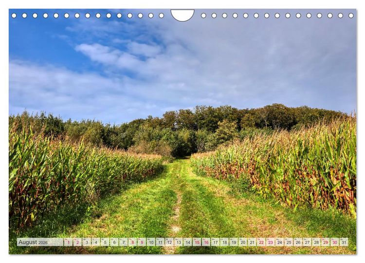 Produktbild: Idyllische Wanderwege im Bergischen Land (Wandkalender 2026 DIN A4 quer), CALVENDO Monatskalender