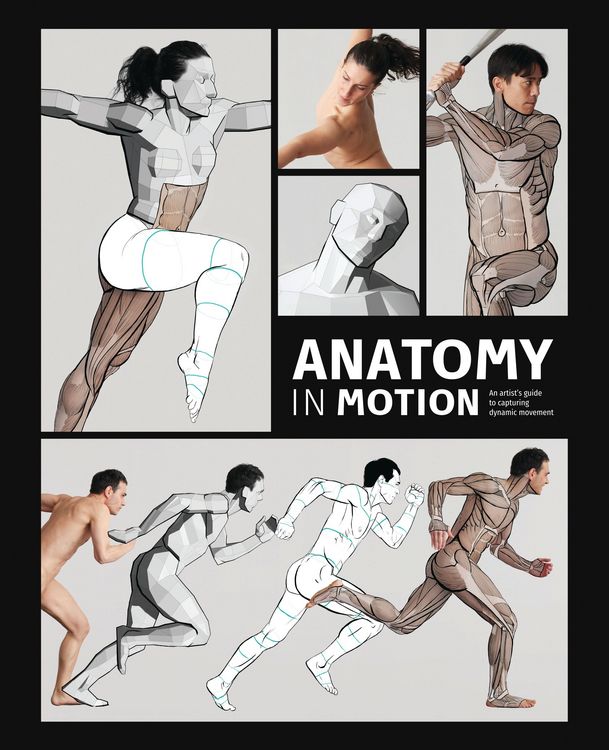 Produktbild: Anatomy in Motion