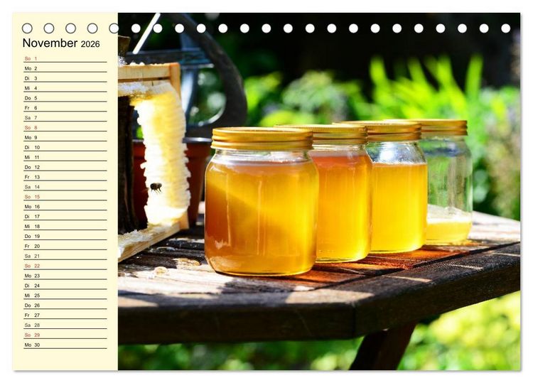 Produktbild: Flei&szlig;ige Bienen. Von der Bl&uuml;te bis zum Honig (Tischkalender 2026 DIN A5 quer), CALVENDO Monatskalender