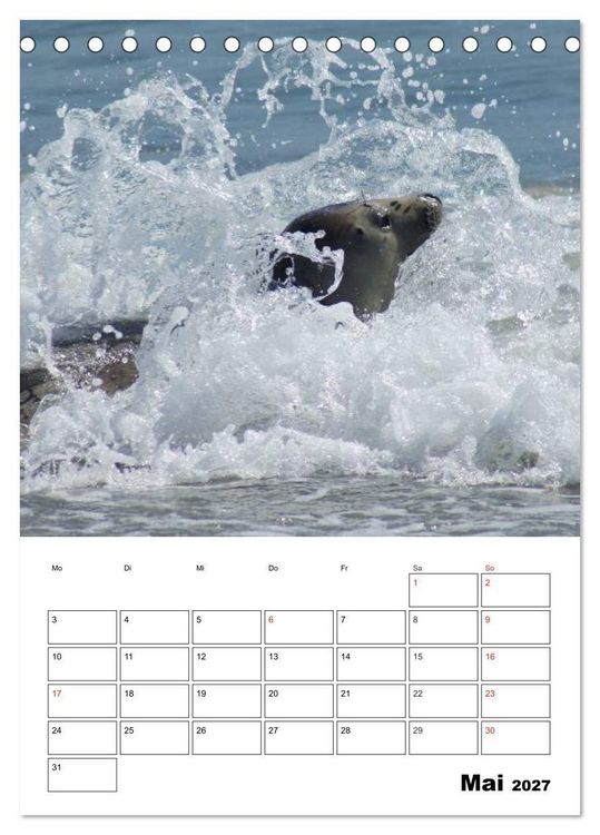 Produktbild: Liebenswerte Robben (Tischkalender 2027 DIN A5 hoch), CALVENDO Monatskalender