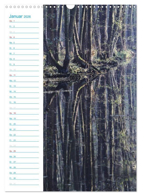 Produktbild: Wunderbarer Spreewald (Wandkalender 2026 DIN A3 hoch), CALVENDO Monatskalender