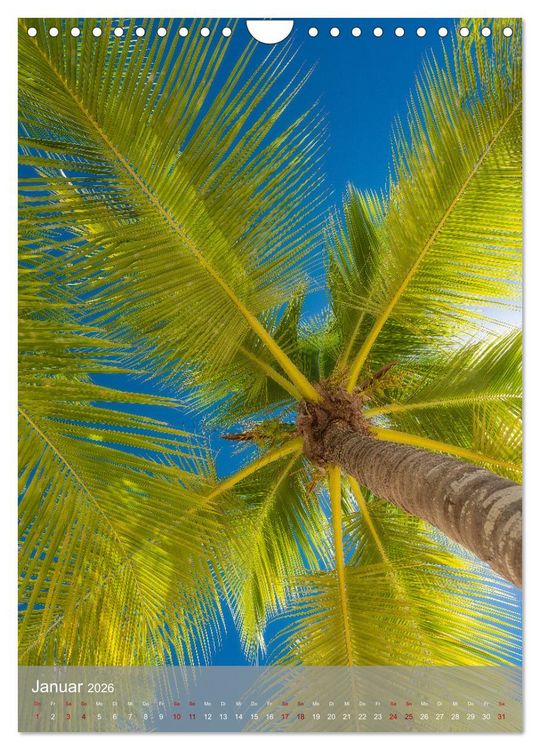 Produktbild: Karibischer Traum Isla Saona (Wandkalender 2026 DIN A4 hoch), CALVENDO Monatskalender
