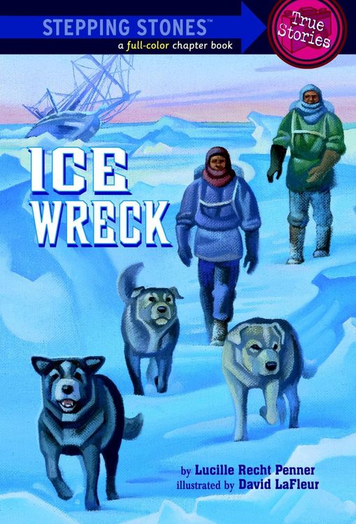 Produktbild: Ice Wreck