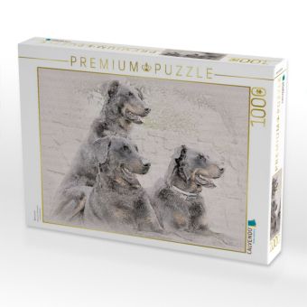 Produktbild: CALVENDO Puzzle Beauceron | 1000 Teile Lege-Gr&ouml;&szlig;e 64x48cm Foto-Puzzle f&uuml;r gl&uuml;ckliche Stunden