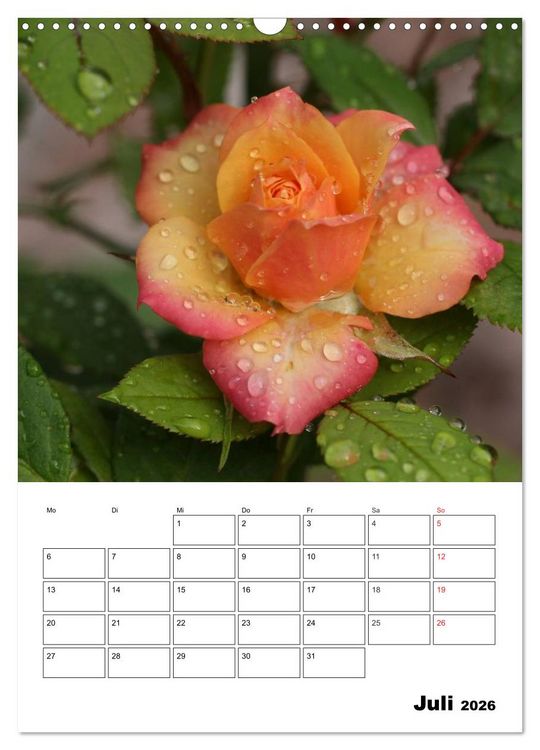 Produktbild: Zauberhafte Rosen (Wandkalender 2026 DIN A3 hoch), CALVENDO Monatskalender