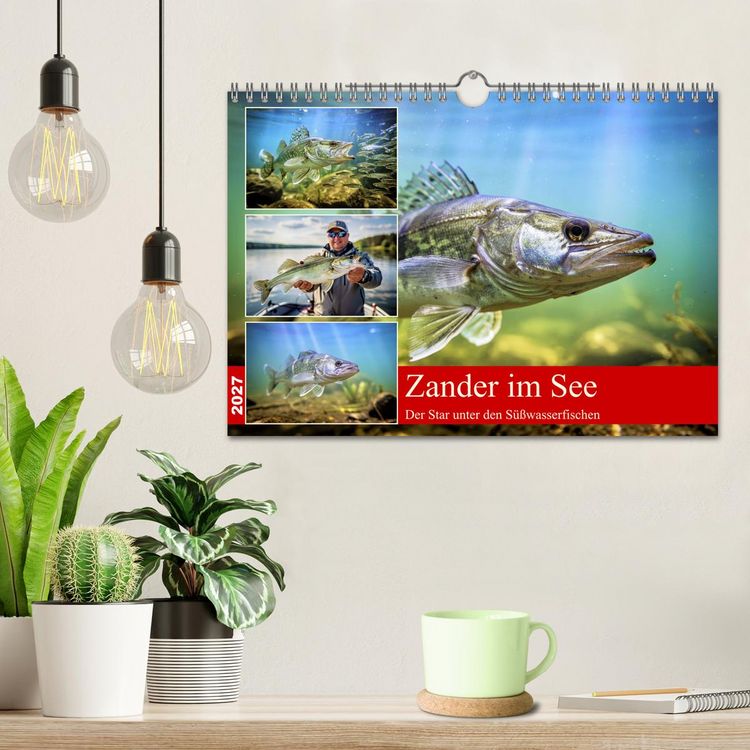 Produktbild: Zander im See (Wandkalender 2027 DIN A4 quer), CALVENDO Monatskalender