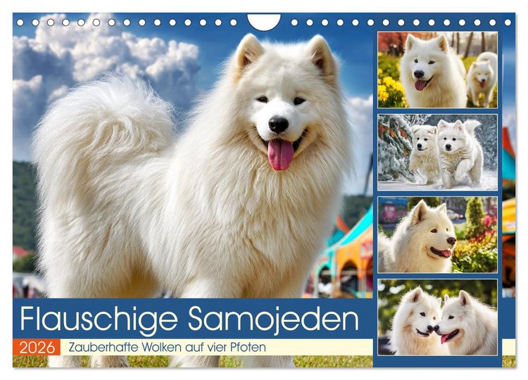 Produktbild: Flauschige Samojeden. Zauberhafte Wolken auf vier Pfoten (Wandkalender 2026 DIN A4 quer), CALVENDO Monatskalender