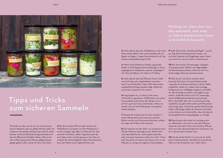 Produktbild: Wild durchs Jahr