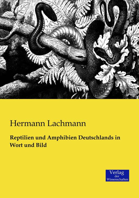 Produktbild: Reptilien und Amphibien Deutschlands in Wort und Bild