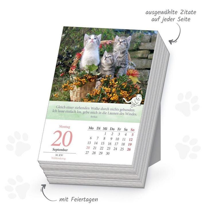 Produktbild: TR&Ouml;TSCH - Abrei&szlig;kalender Katzen 2027