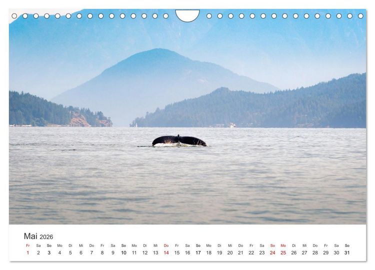Produktbild: Kanadas Wunder (Wandkalender 2026 DIN A4 quer), CALVENDO Monatskalender
