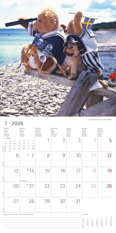 Produktbild: Teddy 2026 - Broschürenkalender 30x30 cm (30x60 geöffnet) - Kalender mit Platz für Notizen - Bildkalender - Wandkalender - mit herausnehmbarem Poster