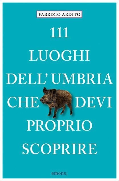 Produktbild: 111 luoghi dell'Umbria che devi proprio scoprire