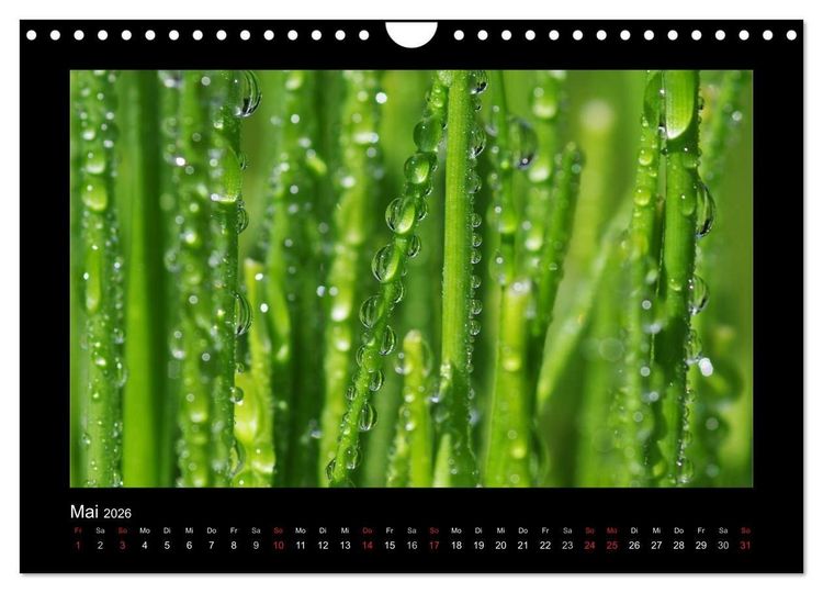 Produktbild: Meine kleine gr&uuml;ne Wassertropfen Welt (Wandkalender 2026 DIN A4 quer), CALVENDO Monatskalender