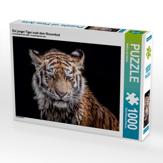 Produktbild: CALVENDO Puzzle Ein junger Tiger nach dem Wasserbad | 1000 Teile Lege-Gr&ouml;&szlig;e 64x48cm Foto-Puzzle f&uuml;r gl&uuml;ckliche Stunden