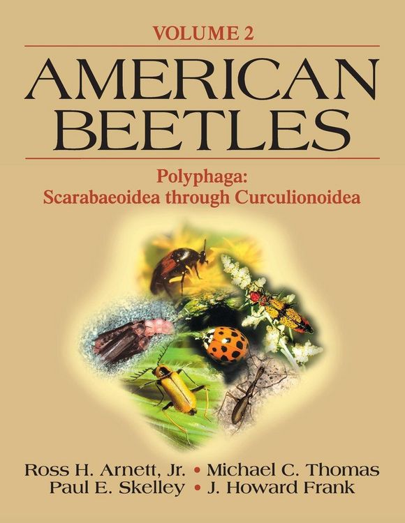 Produktbild: American Beetles, Volume II