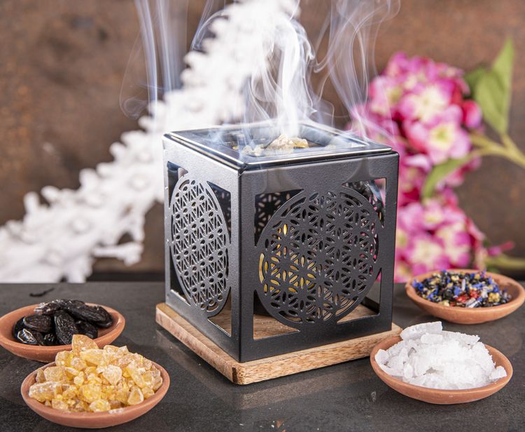 Produktbild: R&auml;ucherst&ouml;vchen Blume des Lebens