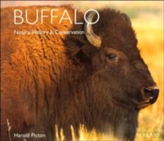 Produktbild: Picton, H: Buffalo
