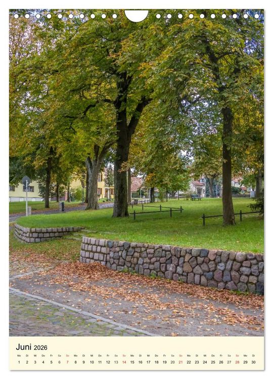 Produktbild: BERLIN L&Uuml;BARS jwd (Wandkalender 2026 DIN A4 hoch), CALVENDO Monatskalender