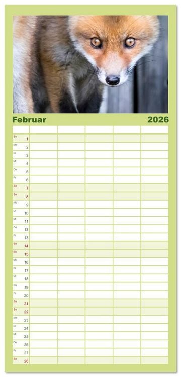 Produktbild: Familienplaner 2026 - Verspielte Fuchswelpen - Allein zu Haus' mit 5 Spalten (Wandkalender, 21 x 45 cm) CALVENDO