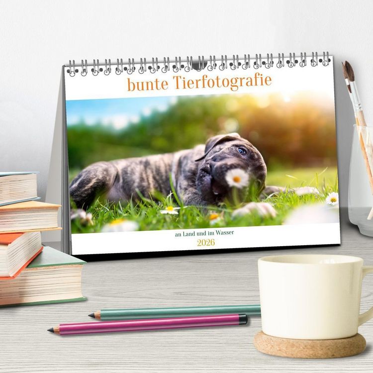 Produktbild: bunte Tierfotografie an Land und im Wasser (Tischkalender 2026 DIN A5 quer), CALVENDO Monatskalender