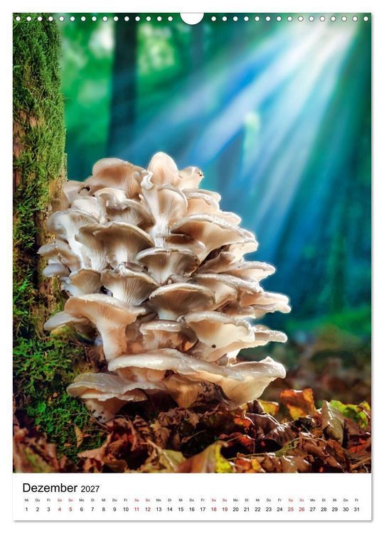 Produktbild: Pilzzeit - Leben auf dem Waldboden (Wandkalender 2027 DIN A3 hoch), CALVENDO Monatskalender