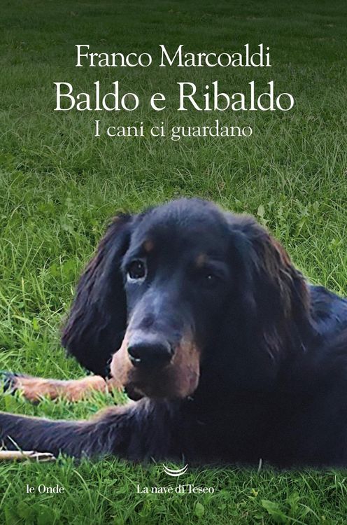 Produktbild: Baldo e Ribaldo. I cani ci guardano