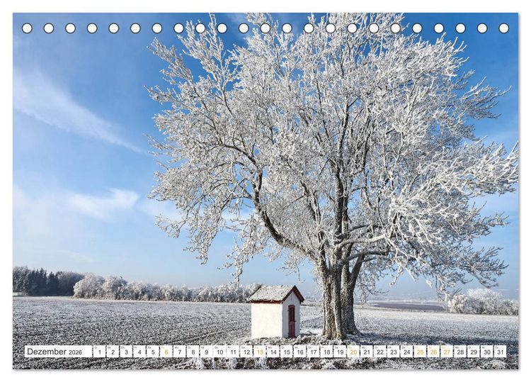 Produktbild: B&auml;ume im Altm&uuml;hltal (Tischkalender 2026 DIN A5 quer), CALVENDO Monatskalender