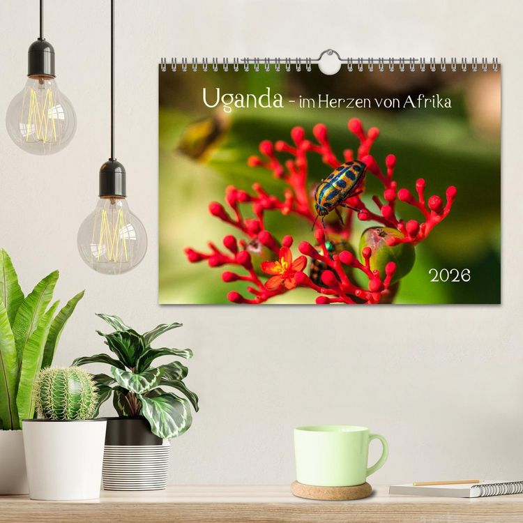 Produktbild: Uganda - im Herzen von Afrika (Wandkalender 2026 DIN A4 quer), CALVENDO Monatskalender