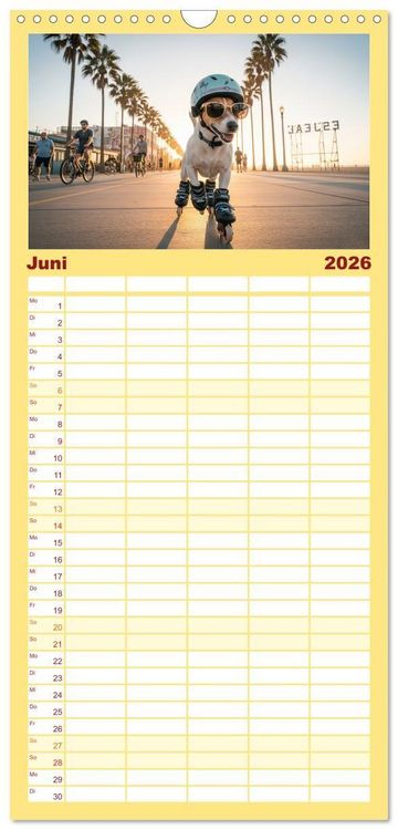 Produktbild: Familienplaner 2026 - Jack Russel Active mit 5 Spalten (Wandkalender, 21 x 45 cm) CALVENDO
