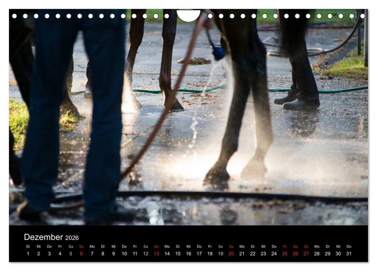 Produktbild: Faszination Galopprennen in Baden-Baden (Wandkalender 2026 DIN A4 quer), CALVENDO Monatskalender
