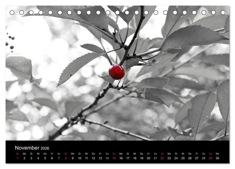 Produktbild: Farbtupfer (Tischkalender 2026 DIN A5 quer), CALVENDO Monatskalender