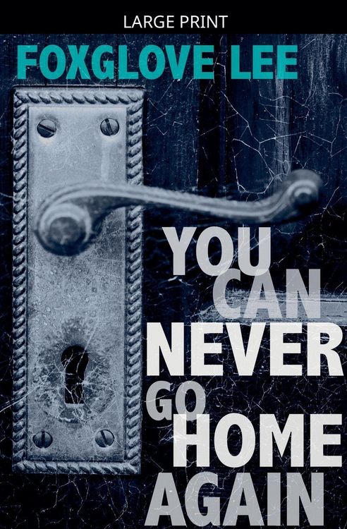 Produktbild: You Can Never Go Home Again