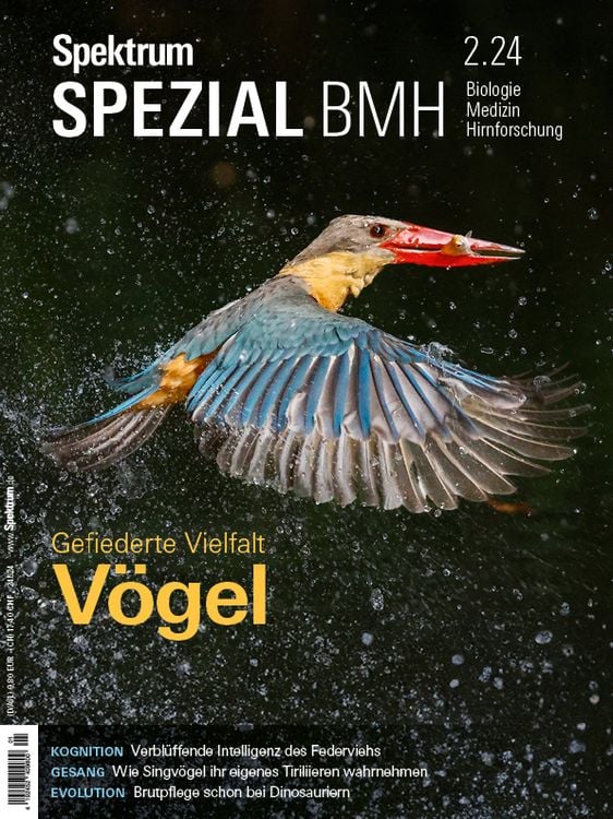 Produktbild: Spektrum Spezial BMH 2/2024 - V&ouml;gel