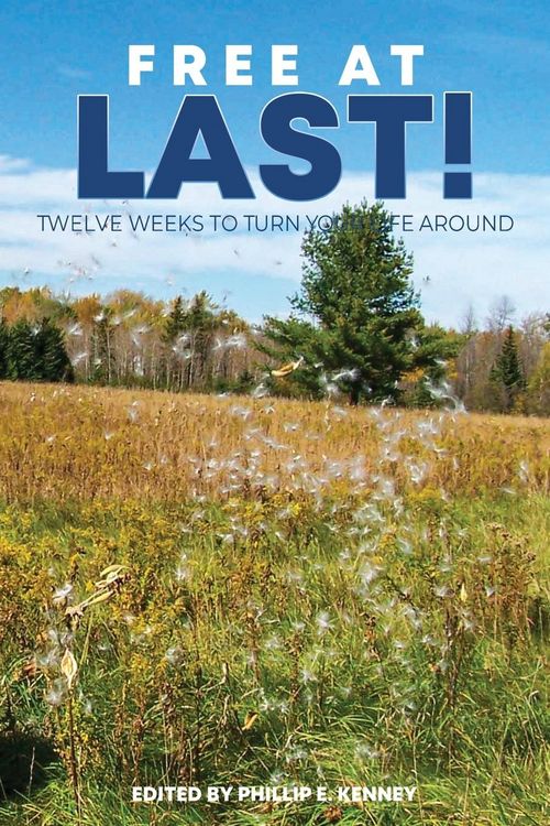 Produktbild: Free at Last