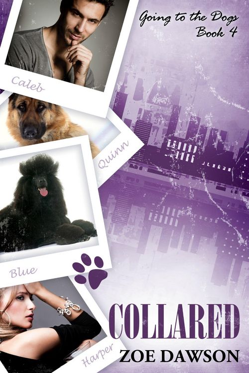 Produktbild: Collared