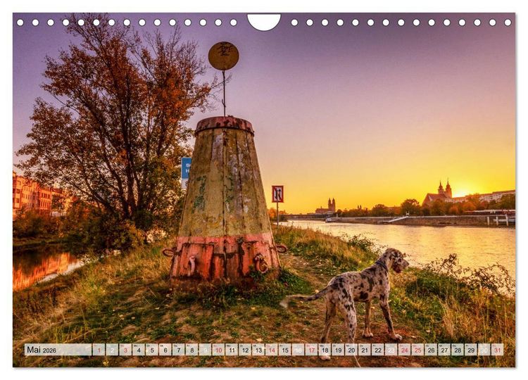 Produktbild: Romantisches Magdeburg (Wandkalender 2026 DIN A4 quer), CALVENDO Monatskalender