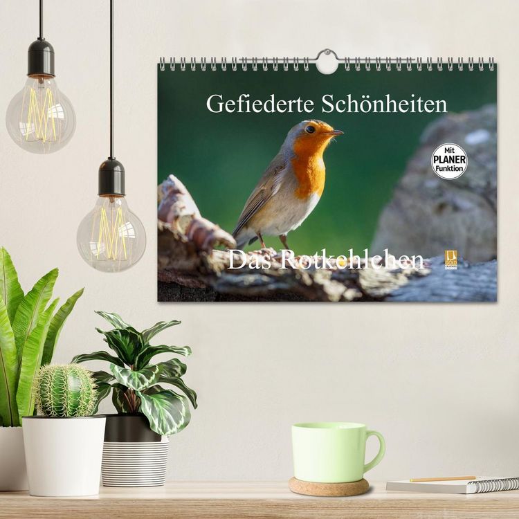 Produktbild: Gefiederte Sch&ouml;nheiten - Das Rotkehlchen / Planer (Wandkalender 2026 DIN A4 quer), CALVENDO Monatskalender