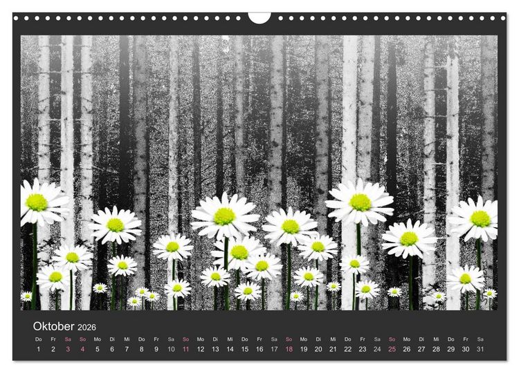 Produktbild: Schwarzwald. Anders. (Wandkalender 2026 DIN A3 quer), CALVENDO Monatskalender