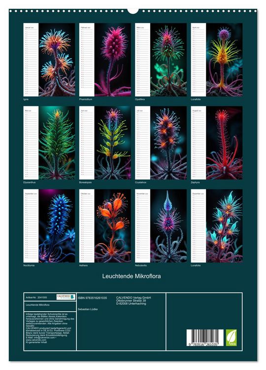 Produktbild: Leuchtende Mikroflora (hochwertiger Premium Wandkalender 2026 DIN A2 hoch), Kunstdruck in Hochglanz