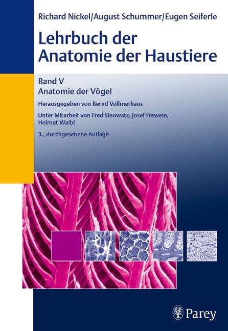 Produktbild: Lehrbuch der Anatomie der Haustiere Band V