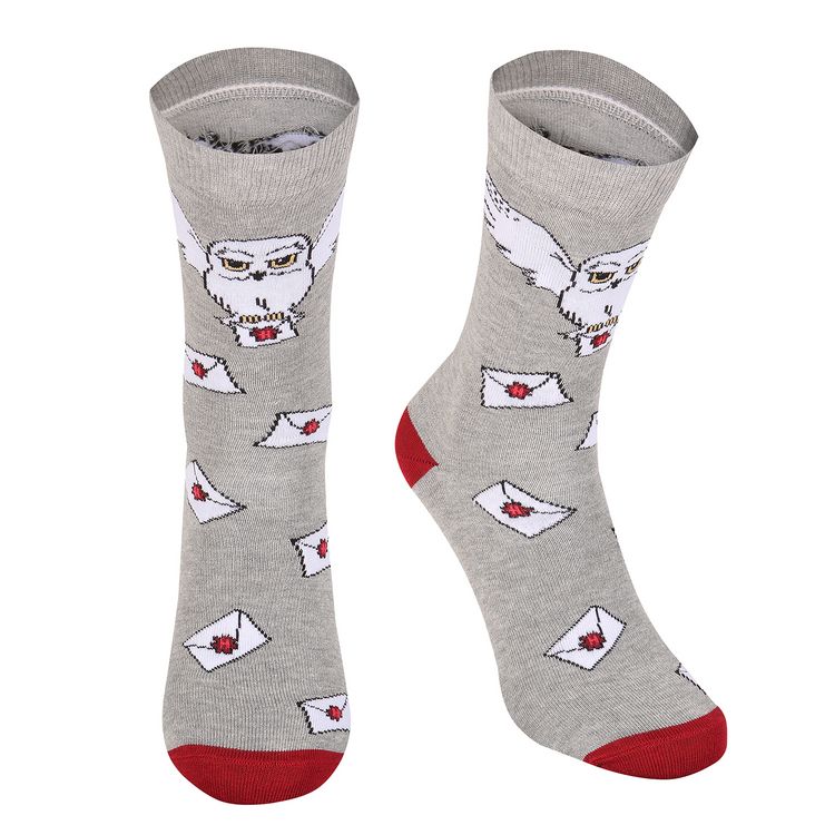 Produktbild: Harry Potter Hogwarts Letter (Grey Socks) S/M