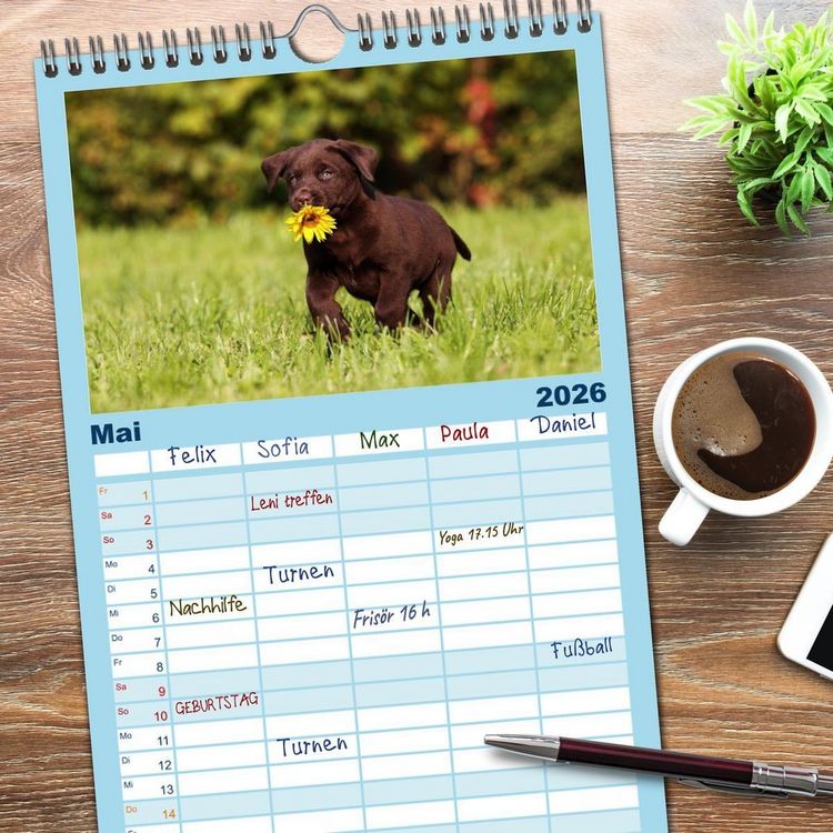 Produktbild: Familienplaner 2026 - Welpen - Puppies mit 5 Spalten (Wandkalender, 21 x 45 cm) CALVENDO