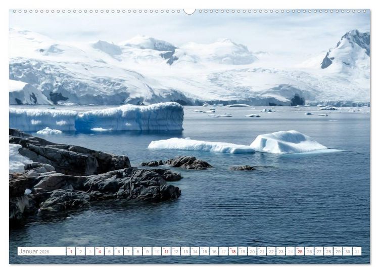 Produktbild: Antarktis - Das Reich der Pinguine (hochwertiger Premium Wandkalender 2026 DIN A2 quer), Kunstdruck in Hochglanz