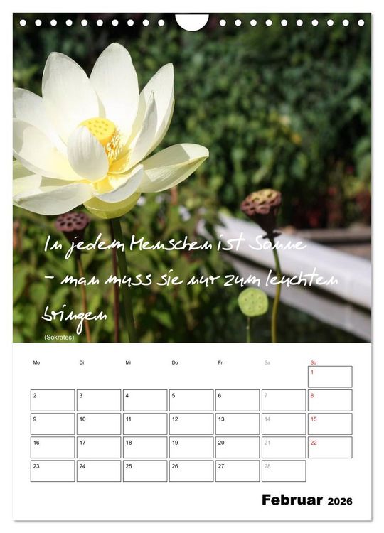 Produktbild: Spr&uuml;che und Weisheiten f&uuml;r&acute; s Jahr (Wandkalender 2026 DIN A4 hoch), CALVENDO Monatskalender