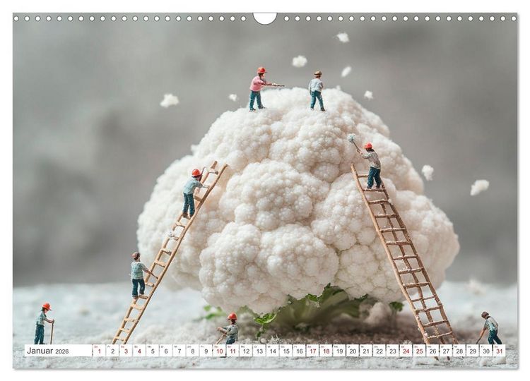 Produktbild: Miniatur-Universum: Ein Jahr in kleinen Welten (Wandkalender 2026 DIN A3 quer), CALVENDO Monatskalender